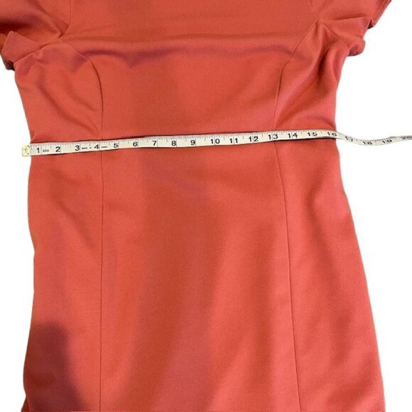 Paper Crown Rose Maternity Sheath Dress Back Zip Ruffle Hem Size Large - Picture 13 of 15